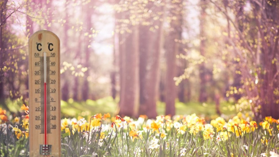 Prognoza meteo 14 mai. Temperaturi mai blânde înainte ciclonului așteptat în weekend
