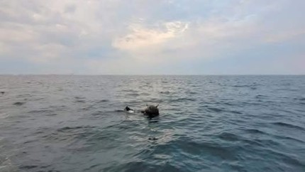 Ministerul Apărării contrazice Rusia privind proveniența minelor din Marea Neagră Situația creată de minele marine în derivă are la origine exclusiv acțiunile Federației Ruse