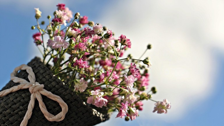 Ce flori de primăvară trebuie oferite pe 8 martie. Semnificația fiecăreia