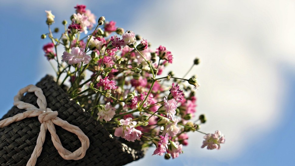 Ce flori de primăvară trebuie oferite pe 8 martie. Semnificația fiecăreia