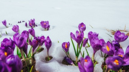 Prognoza meteo ANM de primăvară Temperaturile ajung la 17 grade anunță meteorologii pentru primele zile de martie