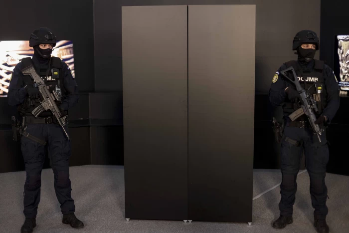 Coiful de la Coţofeneşti şi brăţările dacice