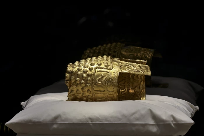 Coiful de la Coţofeneşti şi brăţările dacice