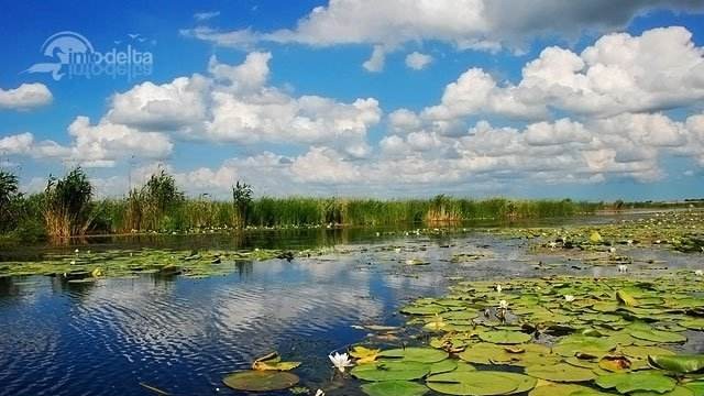 Guvernatorul Deltei Dunării a fost revocat de premier. Cine preia funcția