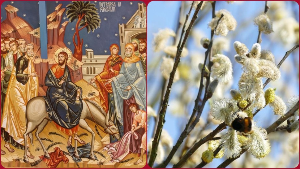 Florii 2026. Tradiții care trebuie respectate pentru noroc și sănătate. Ce se mănâncă în Duminica Floriilor