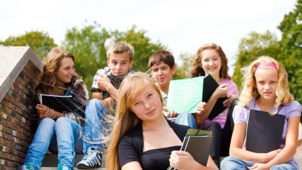 Elevii vor avea un program mai flexibil și vor studia doar materiile preferate. Ministerul Educației a aprobat planul-cadru în învățământul liceal