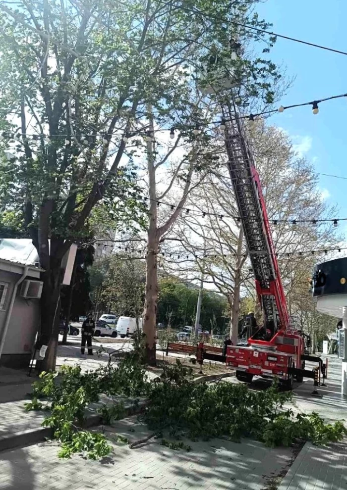 Probleme în 72 de localități din 18 județe și București din cauza vântului puternic! O persoană a murit și altele au fost rănite sursă foto: IGSU