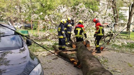 Probleme în 72 de localități din 18 județe și București din cauza vântului puternic O persoană a murit și altele au fost rănite