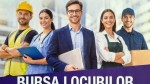 AMOFM Bucureşti organizează Bursa Locurilor de Muncă. Peste 8.000 de posturi disponibile