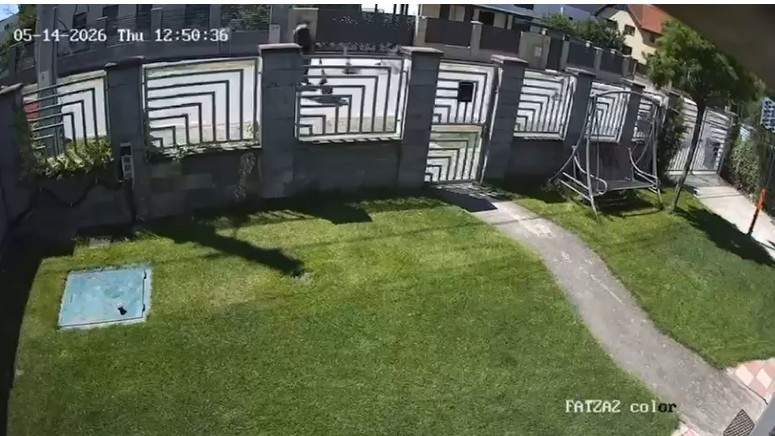 Tragedie în Timiș Copil de 14 ani în comă la spital după ce a căzut cu trotineta electrică