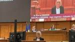 Diana Tușa după ce deputații au votat decisiv reforma Codului de procedură penală Un important pas înainte pentru justiția din România