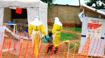 Alertă în Africa Un nou focar de Ebola în Congo. 65 de decese și sute de cazuri suspectate până acum