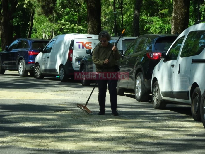 Gropi umplute cu pietriș pe Șoseaua Nordului sursă foto: Mediaflux