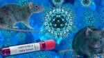 Infecția cu hantavirus 8222nu este un nou COVID-198221 arată experții. Totuși oficiall SUA nu pot garanta că nu se va răspândi în SUA