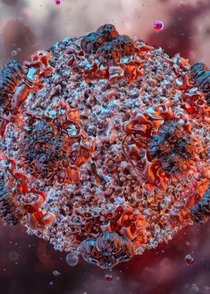 Un virus mortal amenință omenirea. Trei decese au fost deja confirmate de hantavirus. OMS a declarat stare de alertă în sănătatea publică