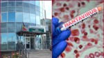 Infecția cu hantavirus din România nu se transmite de la om la om ci este tulpina transmisă de rozătoare confirmă Institutul Cantacuzino