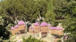 Master floristul Nicu Bocancea a cucerit Spania cu arta sa florală Invitat special principal la Zaragoza Florece