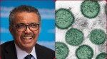 OMS prima reacție privind focarul de hantavirus izbucnit la bordul unei nave de croazieră Nu reprezintă începutul unei pandemii