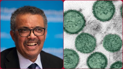 OMS prima reacție privind focarul de hantavirus izbucnit la bordul unei nave de croazieră Nu reprezintă începutul unei pandemii