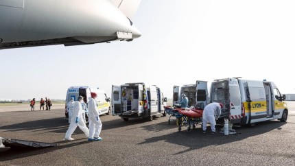Caz de hantavirus confirmat și în Franța Virusul prezent și la granițele României