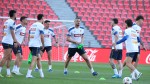 Georgia 8211 România 1 8211 1. UPDATE Primul meci al lui Gheorghe Hagi la revenirea ca antrenor