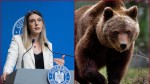 Diana Buzoianu anunț privind problema urșilor Nu mai putem să așteptăm să se întâmple tragedii ca să se intervină pe noua legislație 
