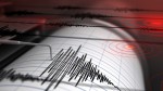 Cutremur în România vineri dimineața. Anunțul seismologilor