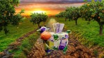 România primește 15 milioane de euro de la UE. Banii vor fi folosiți pentru fermieri