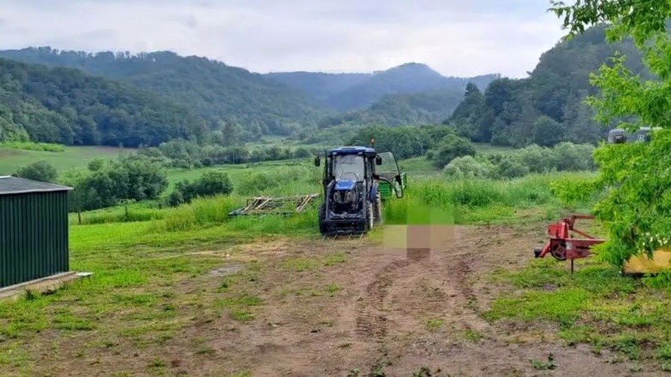 Un bărbat de 34 de ani a fost ucis de un urs la ieșirea din comuna Prod județul Sibiu