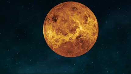 Venus intră în Leu pe 13 iunie. Ce se întâmplă cu zodiile de foc