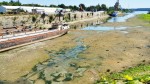 Avertisment de la Apele Române Debitul Dunării se apropie de minimul istoric din 1985. Cea mai dificilă perioadă hidrologică din ultimele decenii