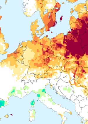 Schimbările climatice agravează seceta în toată Europa. Schimbările climatice agravează seceta în toată Europa