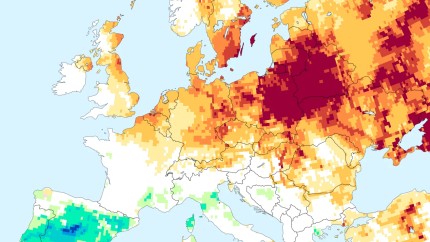 Schimbările climatice agravează seceta în toată Europa. Schimbările climatice agravează seceta în toată Europa