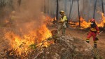 Alertă MAE pentru românii din Spania. Incendiile de vegetație pun în pericol viața a sute de mii de oameni