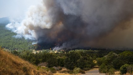 Risc major de noi incendii în Spania. MAE a transmis o avertizare de călătorie