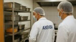 Alertă alimentară. DSVSA a retras de la comercializare sute de kilograme de carne de pui cu Salmonella şi hering cu parazitul Anisakis