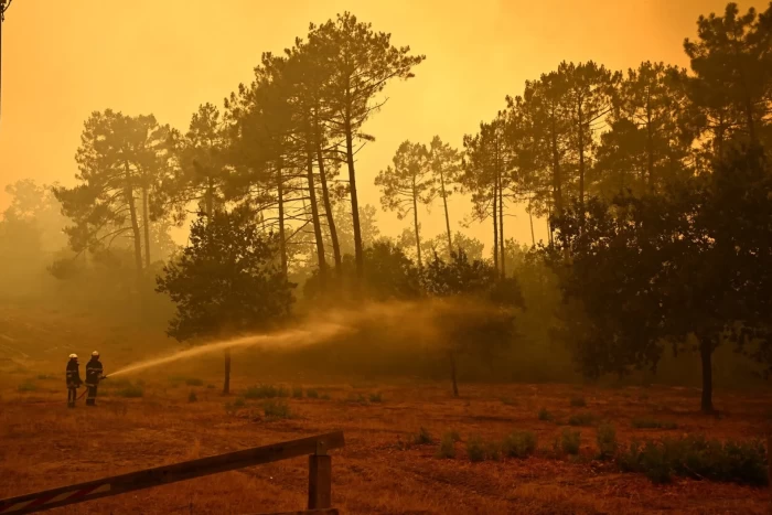 Incendii în Franța și SpaniaFoto: Profimedia
