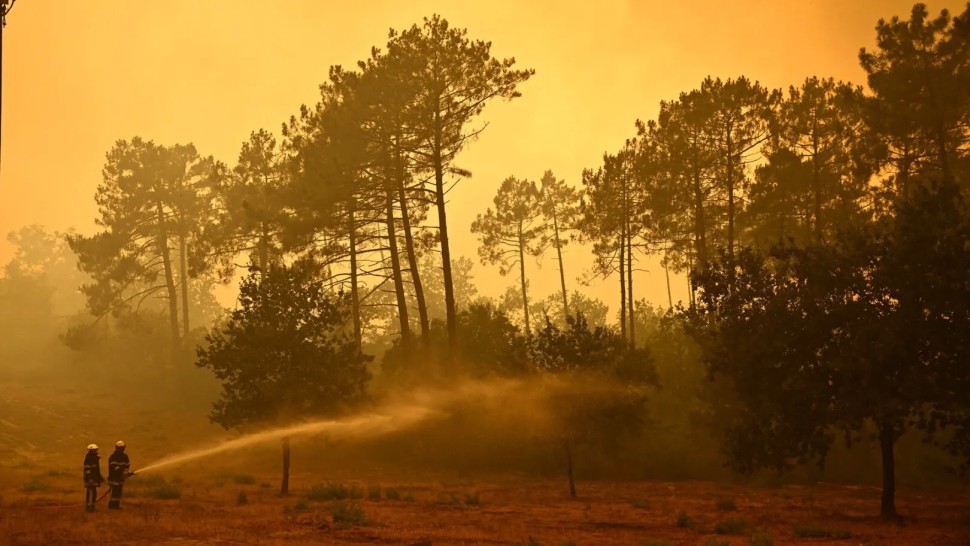 Incendiile din Franța au ajuns la un record istoric. 98.000 de hectare au fost mistuite de flăcări