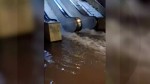 O angajată Metrorex la spital cu Legionella după ce intervenit la metrou după inundații Angajații cu simptome îndemnați să meargă la Matei Balș