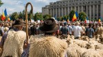 Protest cu mii de fermieri. Crescătorii de animale ies în stradă nemulțumiți de situația din țară