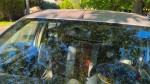 Radar din două doze de bere. O Dacia Sandero a băgat spaima în șoferi FOTO