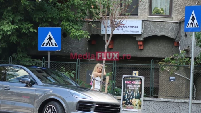 Andreea Bălan sursă foto: Mediaflux.ro
