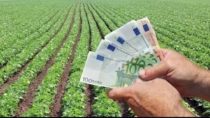 Bani pentru românii muncitori Sprijin financiar de până la 100.000 de euro per proiect. Cum pot fi folosite sumele