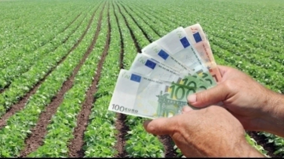 Bani pentru românii muncitori Sprijin financiar de până la 100.000 de euro per proiect. Cum pot fi folosite sumele