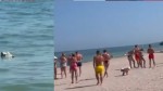 Update Dronă pe plaja din Mamaia. Turiștii au fost scoși de urgență din apă