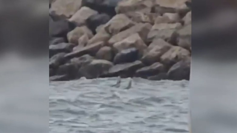 Alertă pe o plăjă din Costinești. Fragment dintr-o posibilă dronă observat în mare de turiști | Video