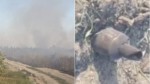 O altă dronă s-a prăbușit și a explodat în sudul Republicii Moldova. Incendiu de vegetație într-un câmp fără victime