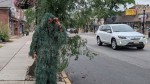 Spaima șoferilor polițistul deghizat în plantă. A dat amenzi pe bandă rulantă în trafic