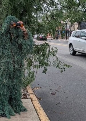 Spaima șoferilor polițistul deghizat în plantă. A dat amenzi pe bandă rulantă în trafic