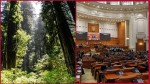 Proiectul privind Strategia națională pentru conservarea biodiversității adoptat de Senat. AUR a votat împotrivă